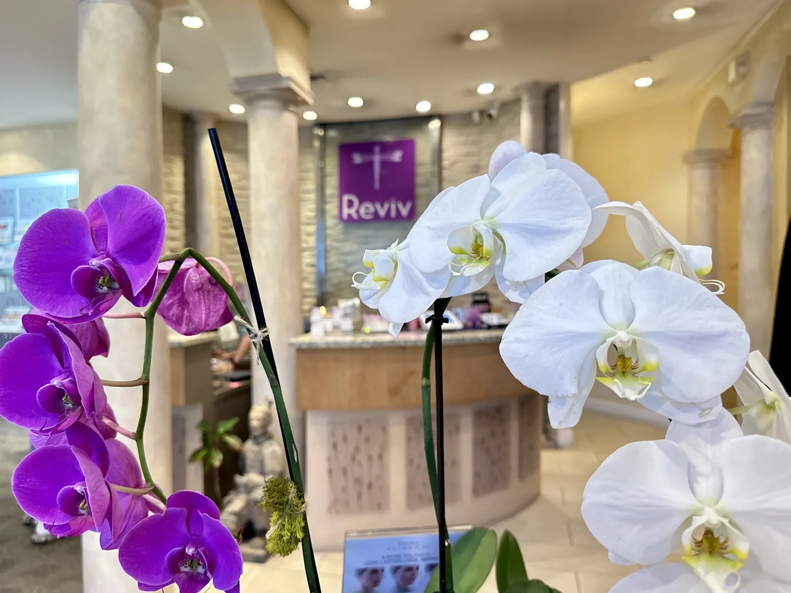 Medical spa serving San Mateo, California — the Reviv Med Spa reception in Millbrae